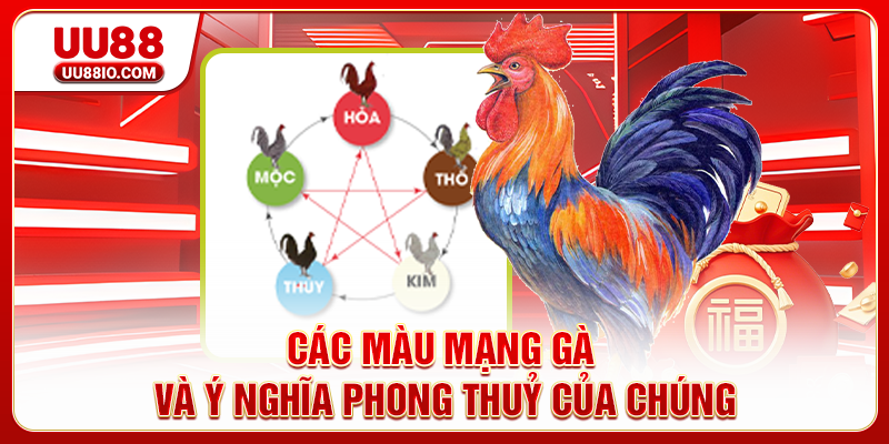 Các màu mạng gà và ý nghĩa phong thuỷ của chúng