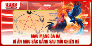Màu Mạng Gà Đá - Bí Ẩn Màu Sắc